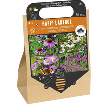 Cibuľoviny Happy Ladybug, 30 kusov