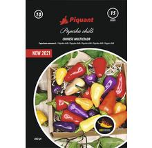 Balenie semien Piquant Paprika Chili Chinese Multicolor