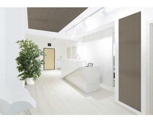 Svetlá miestnosť s lamelovým stropom a stenovými panelmi z dreva, recepciou a zelenou rastlinou