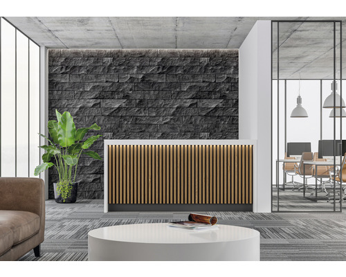 Recepcia s recepčným pultom, kamennou stenou a izbovou rastlinou