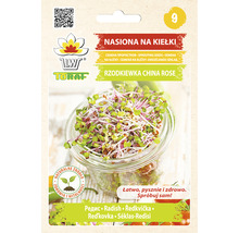 Balenie semien reďkovky China Rose