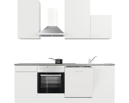 Kompletná kuchynská linka s drezom, sporákom, rúrou, umývačkou riadu, digestorom a hornými skrinkami.