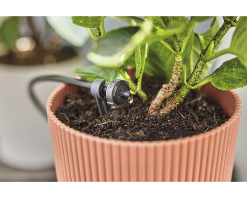 Zavlažovací systém pre črepníkovú rastlinu v prevádzke