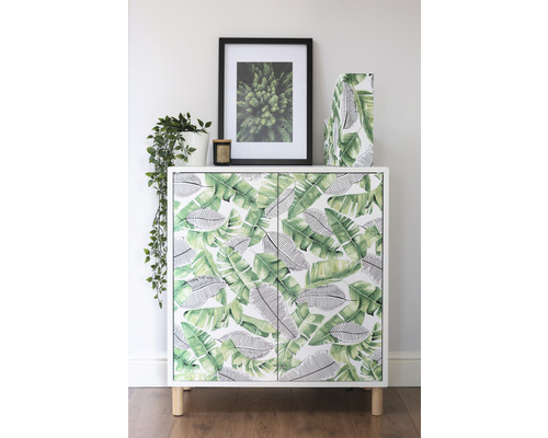 Skrinka so vzorom listov, zarámovaný obrázok a izbová rastlina na svetlom pozadí.