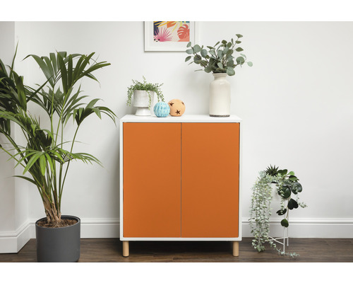 Moderný príborník s dvomi dvierkami a rastlinami hore a vedľa neho