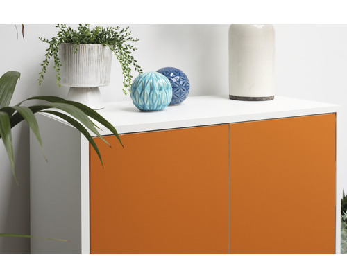 Komoda s rastlinami a dekoratívnymi predmetmi hore