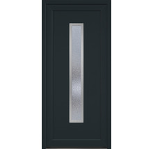 Vchodové dvere so sklenenou vložkou