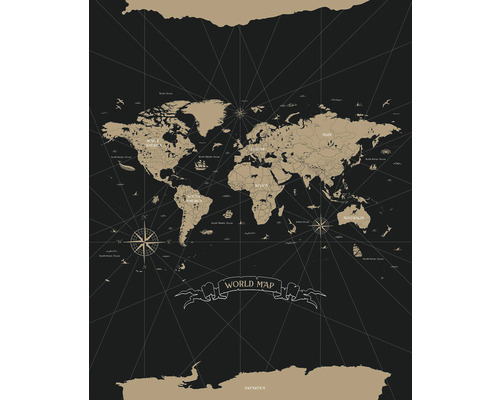 Vliesový panel 103419202 Mapa sveta 200x310 cm