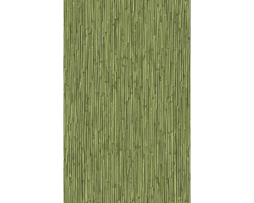 Samolepiaca fólia bambus zelený 45 cm (metráž)
