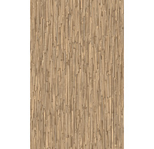Samolepiaca fólia bambus svetlý 45 cm (metráž)