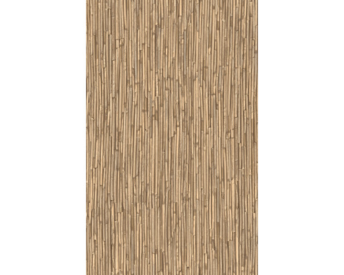 Samolepiaca fólia bambus svetlý 45 cm (metráž)