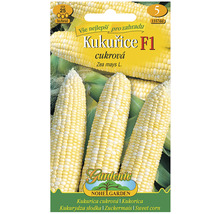 Balenie semien kukurice cukrovej F1