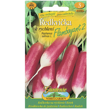 Semená reďkovky odrody Flamboyant 2