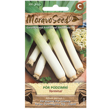 Balenie semien jesenného póru značky Moravo Seed