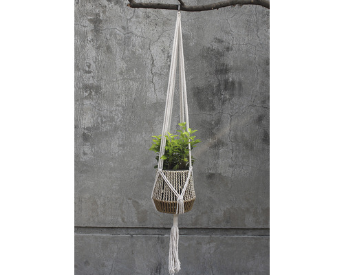 Závesný kvetináč s rastlinou na konári