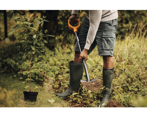 Osoba sadí strom pomocou rýľa v záhrade.