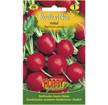 Balíček semien redkvičky