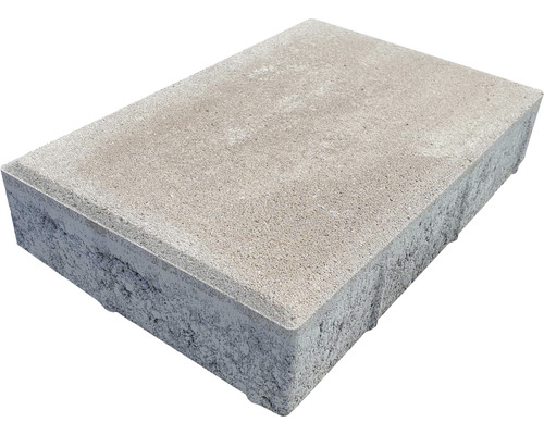 Jeden betónový dlažobný kameň