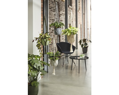 Svetlý a priateľský interiér s visiacimi rastlinami v makramé držiakoch, stoličkou a stolom.