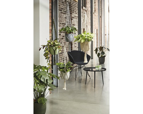 Dekoratívna izba s visiacimi rastlinami v makramé závesoch na kvetináče, kreslom a stolom.