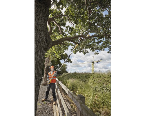 Osoba v ochrannom odeve používa tyčovú pílku na rezanie konárov stromu.