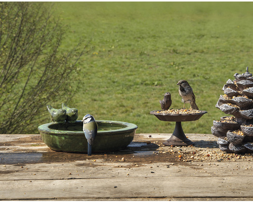 Scéna s napájadlom pre vtáky, kŕmidlom a vtákmi v záhrade