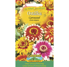 Balenie semien Cynia Caroussel