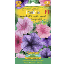 Balenie semien Petúnie F1 Prime Time