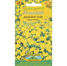 Balenie semien Aksamitník jemnolistý nízký Tagetes tenuifolia