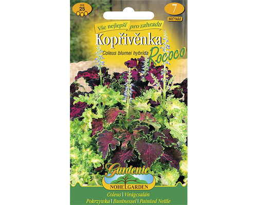 Osivo Žihľavka skrížená ROCOCO Balenie semien Coleus Blumei Hybrida Rococo