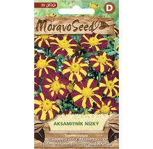 Balenie semien aksamietnice nízkej