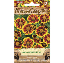 Balenie semien Aksamitník nízky