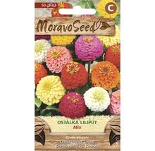 Balenie semien kvetov Zinnia Liliput Mix