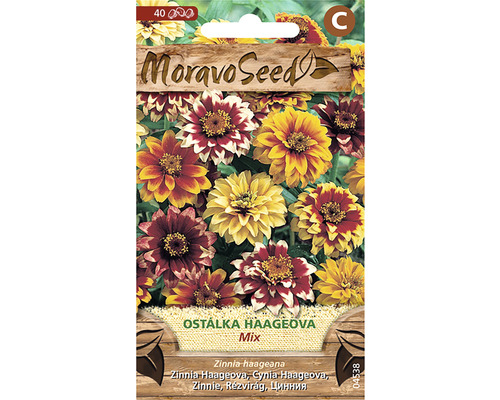 Cínia Haageova zmes MoravoSeed