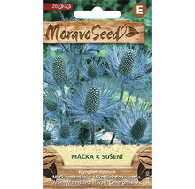 Balenie semien Marchy alpínskej Moravo Seed