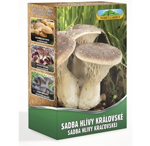 Balenie sadiva hlivy kráľovskej