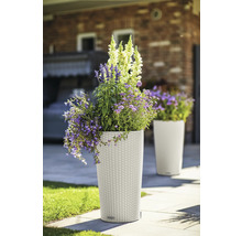 Vysoký plastový kvetináč osadený kvetmi