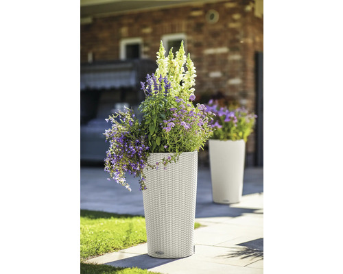 Vysoký plastový kvetináč osadený kvetmi