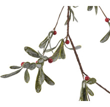 Imelo s listami a bobuľami