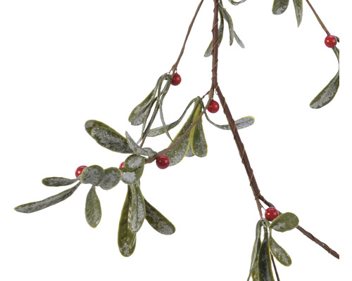 Imelo s listami a bobuľami