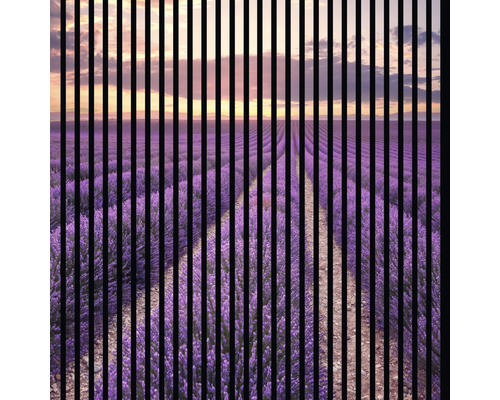 Dizajnový akustický panel DIGI01H 19x1133x1195 mm Dekoratívny prvok s motívom levanduľového poľa