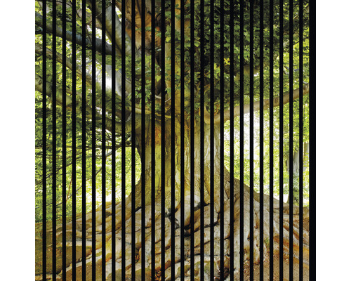 Dizajnový akustický panel DIGI01J 19x1133x1195 mm Dekoratívna okenná fólia so štruktúrou stromu a zvislými pruhmi