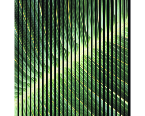 Dizajnový akustický panel DIGI01K 19x1133x1195 mm Detail zeleného palmového listu za čiernymi zvislými pruhmi