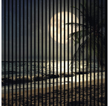 Pláž v noci s mesiacom, vlnami a palmou za plotom