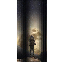 Astronaut pred mesiacom, pohľad cez lamely