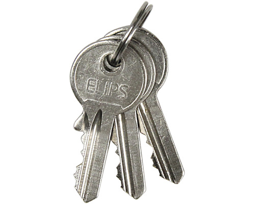 Zväzok kľúčov s tromi kľúčmi ELIPS na krúžku na kľúče