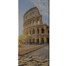 Dekoratívny lamelový záves s motívom Kolosea
