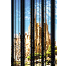 Ilustrácia Sagrada Familia s vertikálnymi líniami