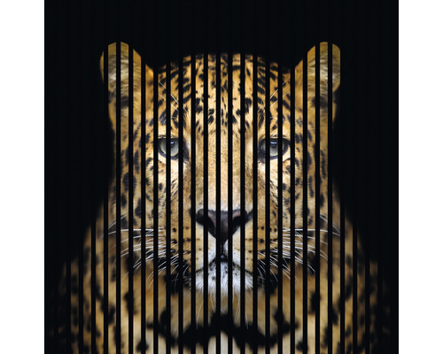 Dizajnový akustický panel DIGI04F 19x1133x1195 mm Portrét leoparda za zvislými pruhmi