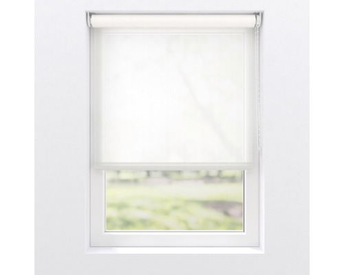 Okno s priesvitnou roletou